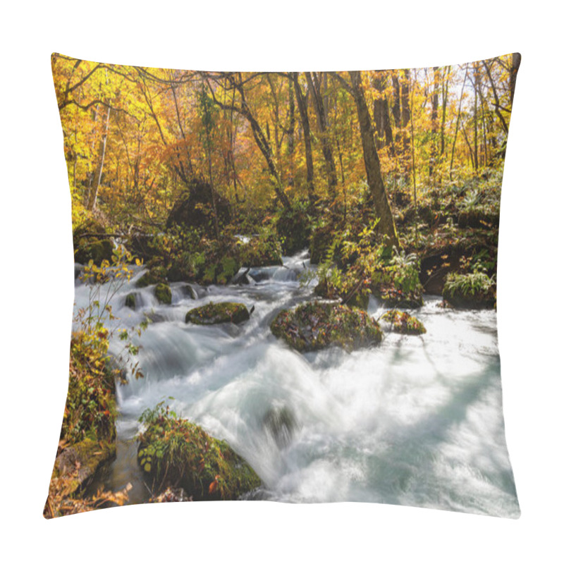 Personality  Oirase Stream In Sunny Day, Beautiful Fall Foliage Scene In Autumn Colors. Flowing River, Fallen Leaves, Mossy Rocks In Towada Hachimantai National Park, Aomori, Japan. Famous And Popular Destinations Pillow Covers