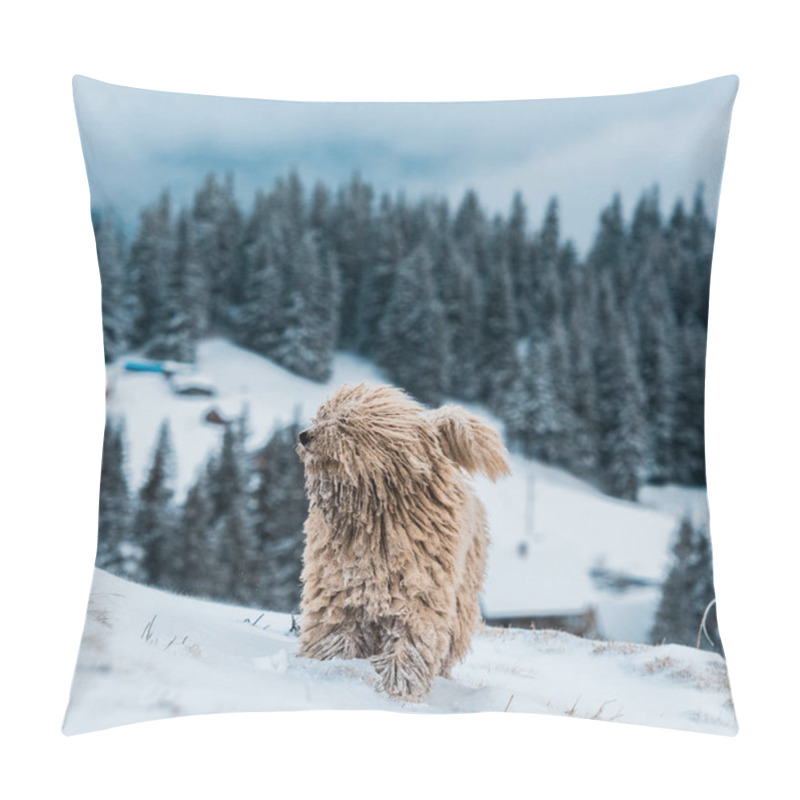 Personality  Cute Fluffy Dog In Snowy Mountains With Pine Trees Pillow Covers