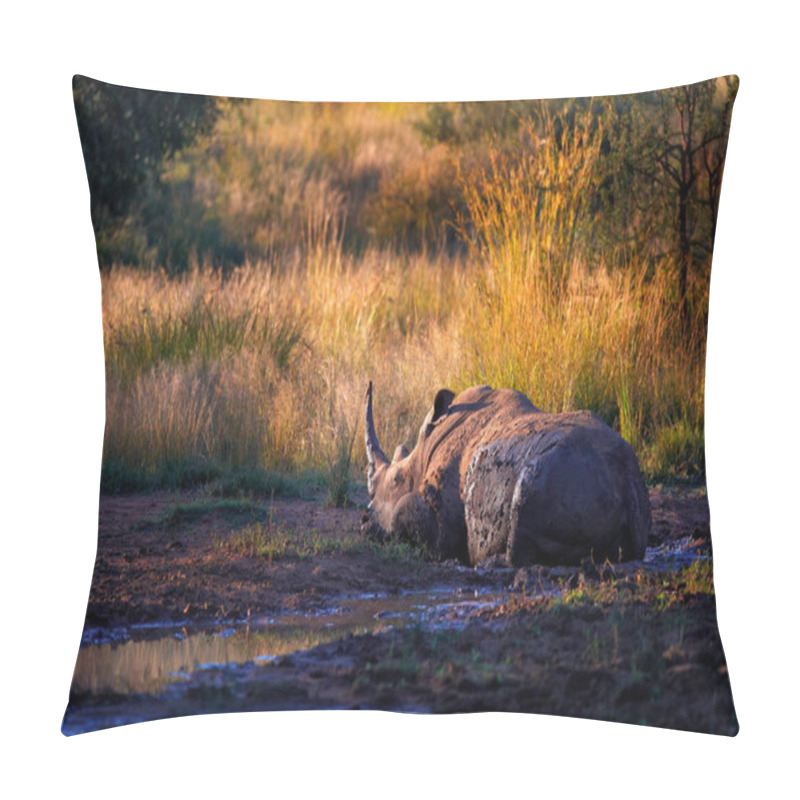 Personality  Rhinoceros In Pilanesberg NP, South Africa. White Rhinoceros, Ceratotherium Simum, Big Animal In The African Nature, Near The Water. Wildlife Scene From Africa.  Rhino In The Forest Habitat. Pillow Covers