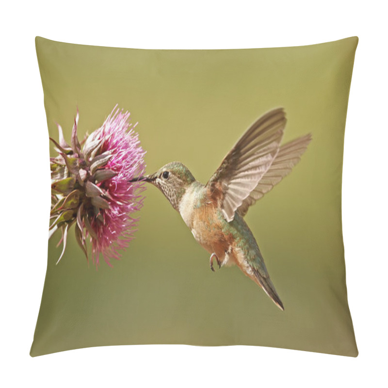 Personality  Broad-tailed Hummingbird Female Pillow Covers