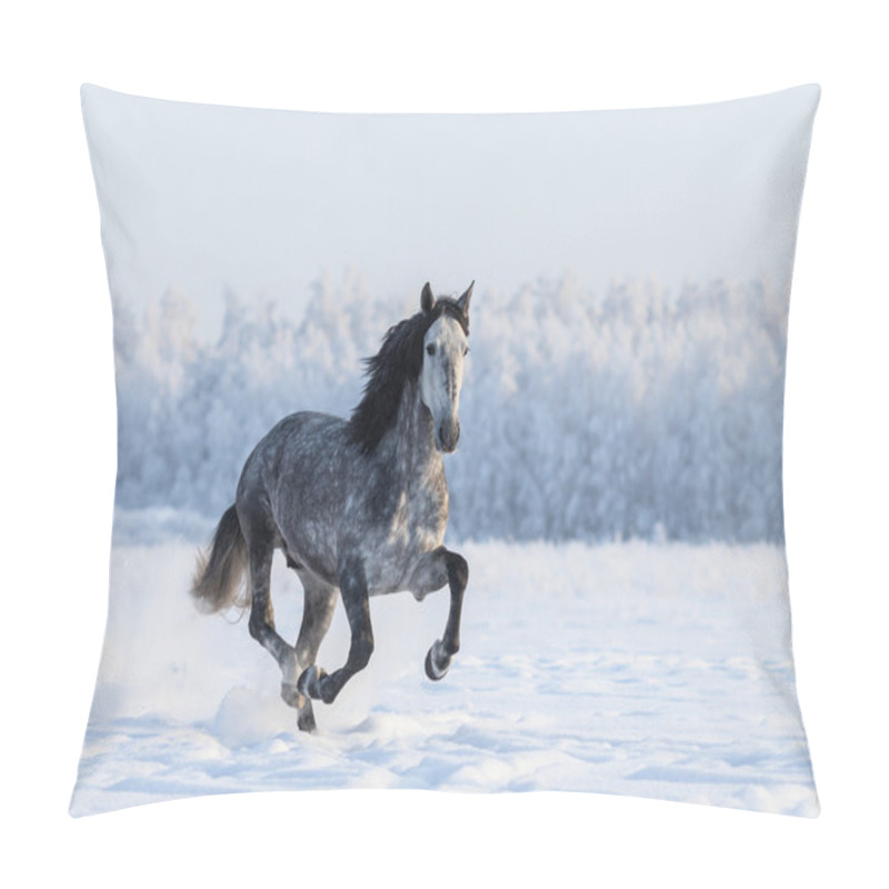 Personality  Running Grey Purebred Spanish Horse Pillow Covers