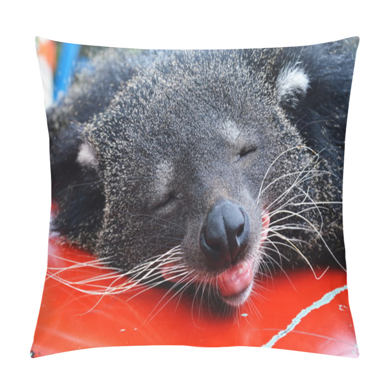 Personality  Bear Cat Pillow Covers