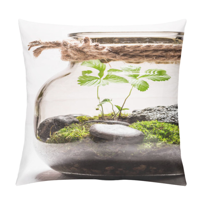 Personality  Closeup Of Amazing Jar With Live Forest Pillow Covers