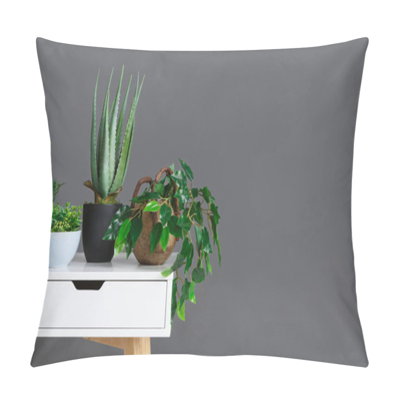 Personality  Stylish Interior With Different Houseplants On Grey Wall Pillow Covers