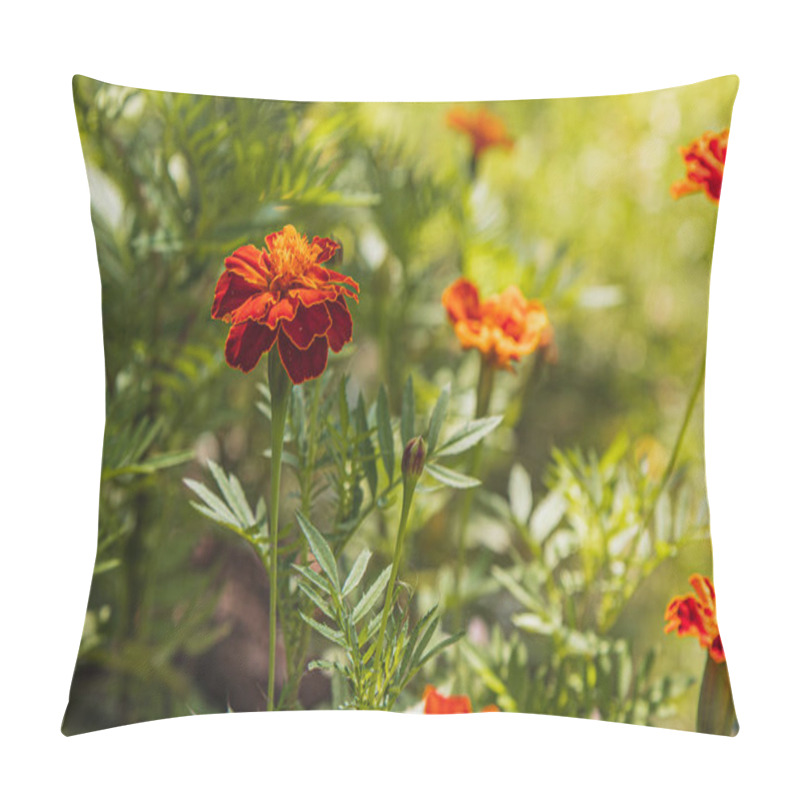 Personality  Bright Orange Marigolds Flourish In A Sunny Garden, Surrounded By Lush Green Leaves. The Flowers Showcase Rich Colors, Attracting Pollinators And Enhancing The Natural Beauty Of The Space. Pillow Covers