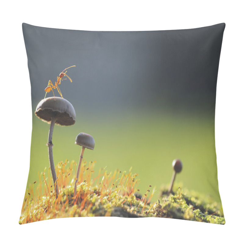 Personality  Weaver Ant Want To Jump From A Mushroom Pillow Covers