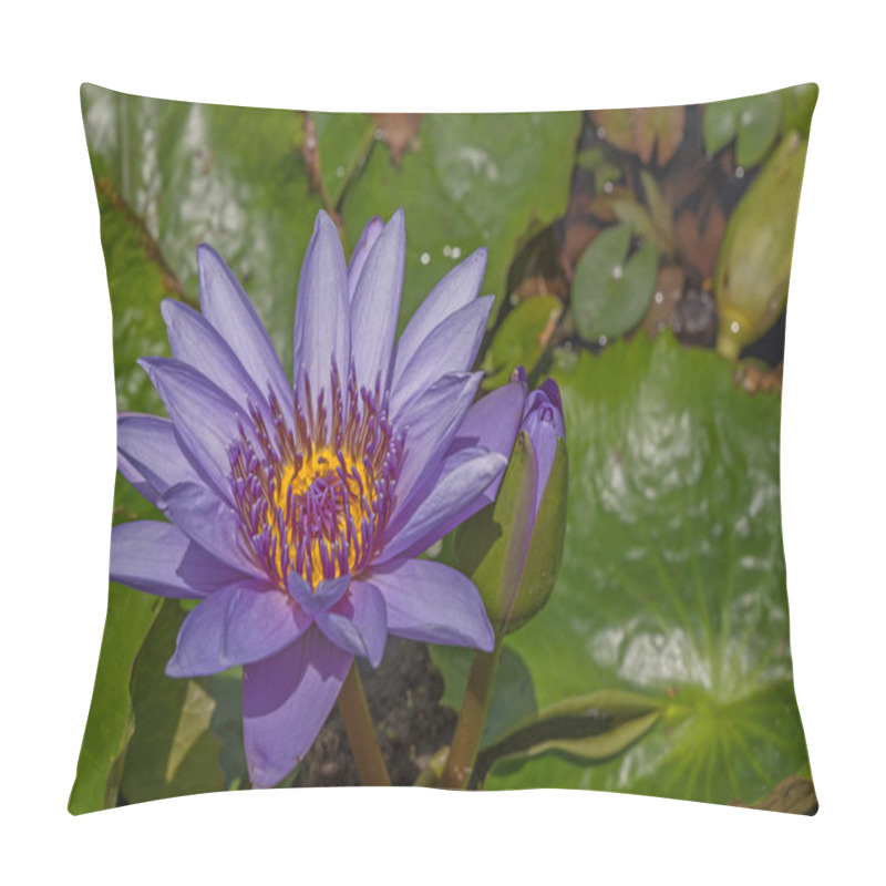 Personality  Water Lily Flowers Pillow Covers