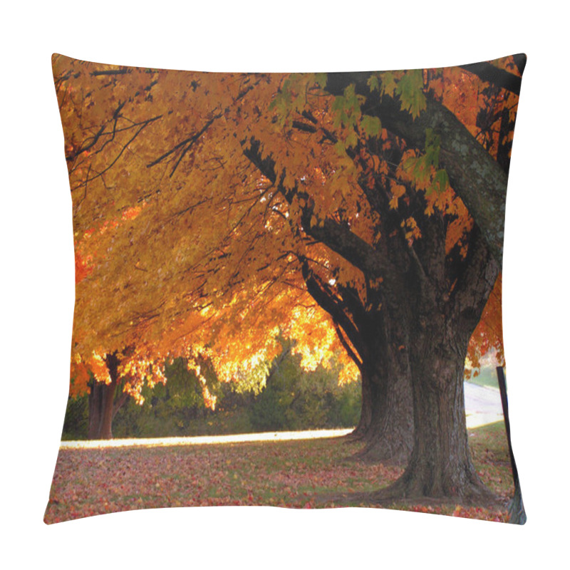 Personality  Trees In Fall Pillow Covers