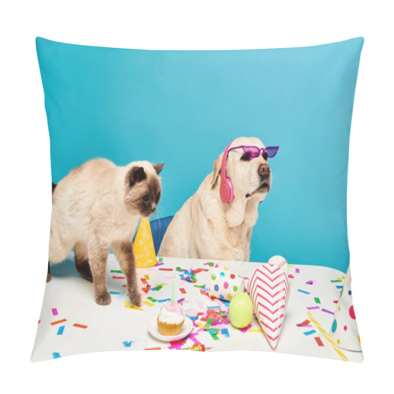 Personality  A Cat And A Dog Standing At A Table In A Studio Setting. Pillow Covers