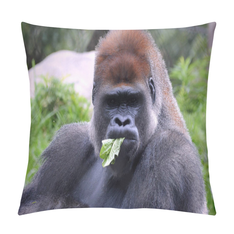 Personality  Western Lowland Gorilla Pillow Covers