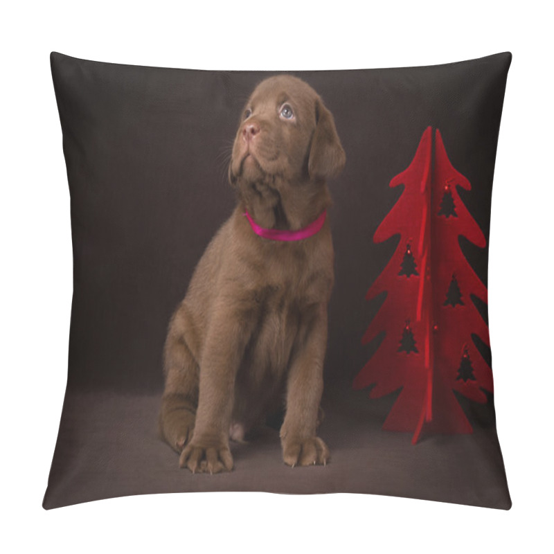 Personality  Chocolate Labrador Puppy Sitting On Brown Background Near The Christmas Tree Pillow Covers