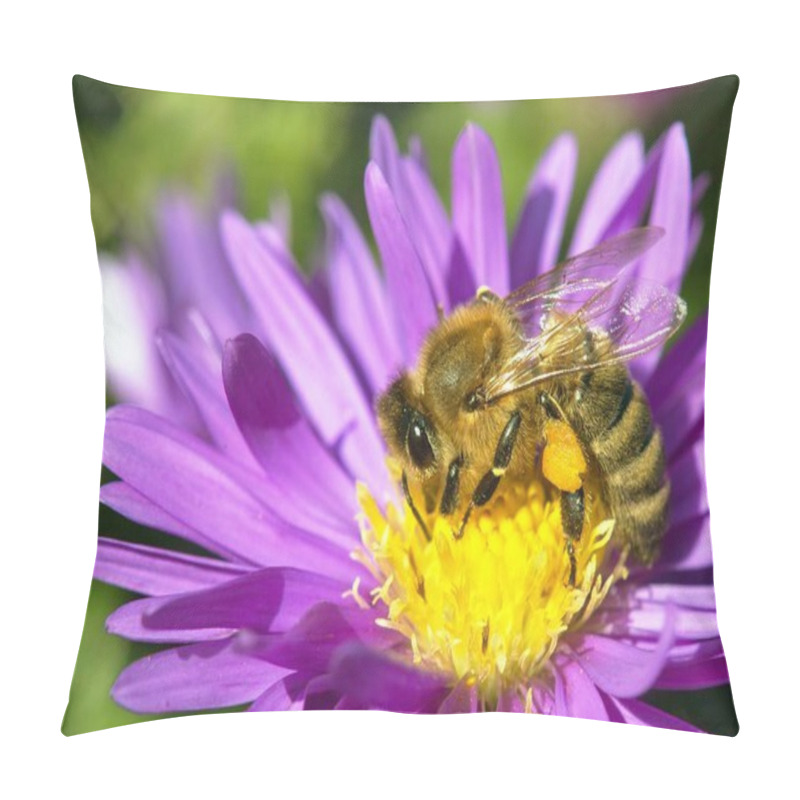 Personality  Detail Of Bee Or Honeybee In Latin Apis Mellifera, European Or Western Honey Bee Pollinated The Yellow Violet Purple Or Blue Flower Pillow Covers