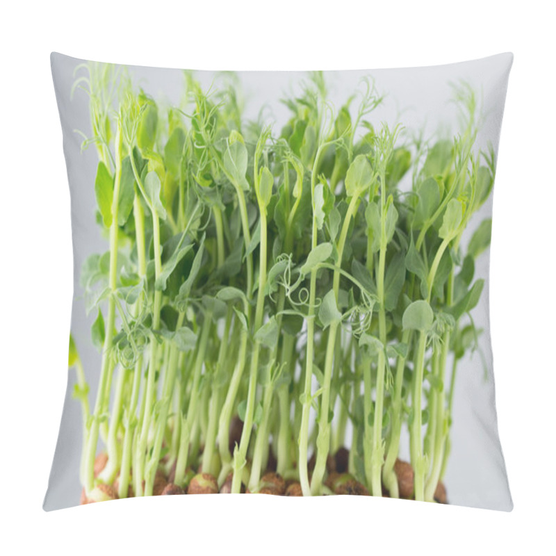 Personality  Organic Pea Sprouts In White Backround. Pillow Covers