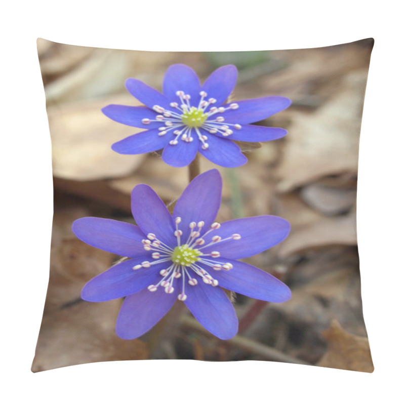 Personality  Spring Flowers Pillow Covers