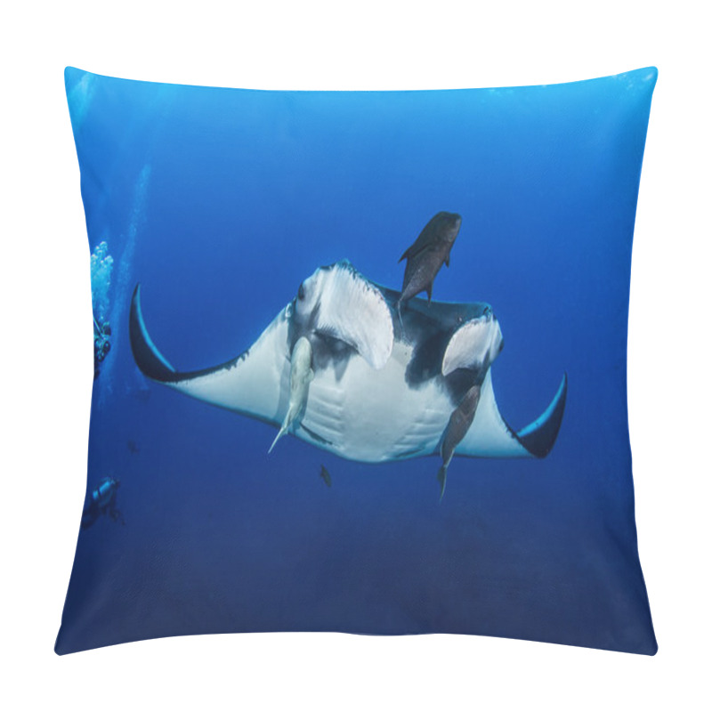 Personality  Manta Ray At Islas Revillagigedos, Mexico Pillow Covers