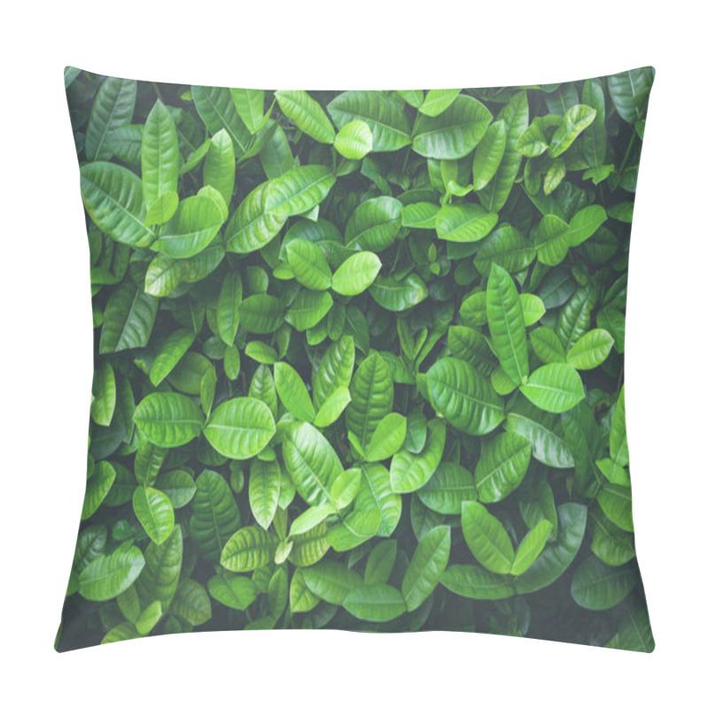 Personality  Background Of Green Leaves Close Up  Pillow Covers