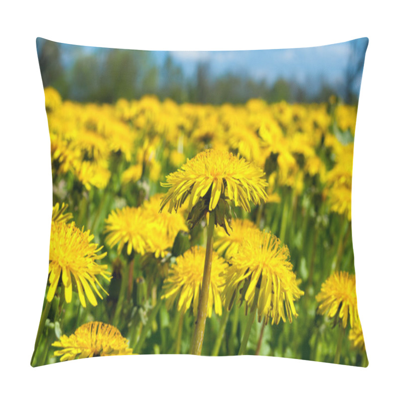 Personality  Field Of Dandelions Pillow Covers