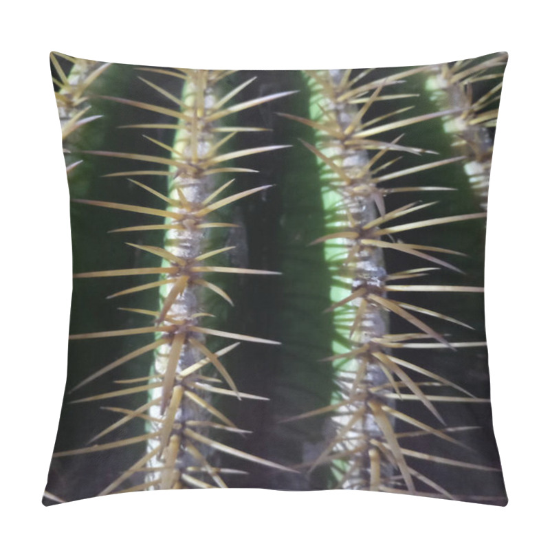 Personality  Close-up View Of A Cactus Showcasing Sharp Yellow Spines Against Its Deep Green Ridges. The Vibrant Contrast And Intricate Details Highlight The Rugged Beauty Of Desert Flora. Pillow Covers