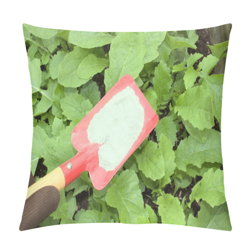 Personality  Rock Flour On A Shovel And Radish Leaves Pillow Covers