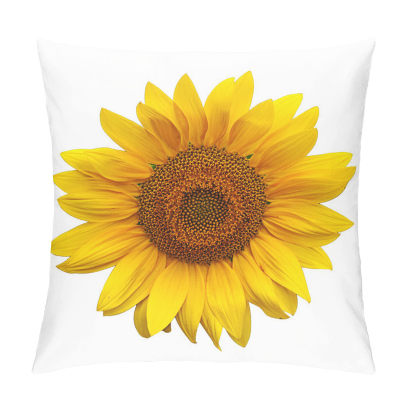 Personality  Sunflowers Pillow Covers