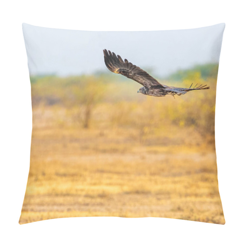 Personality  A Steppe Eagle In Flying Mode With Horizontal Wings Pillow Covers