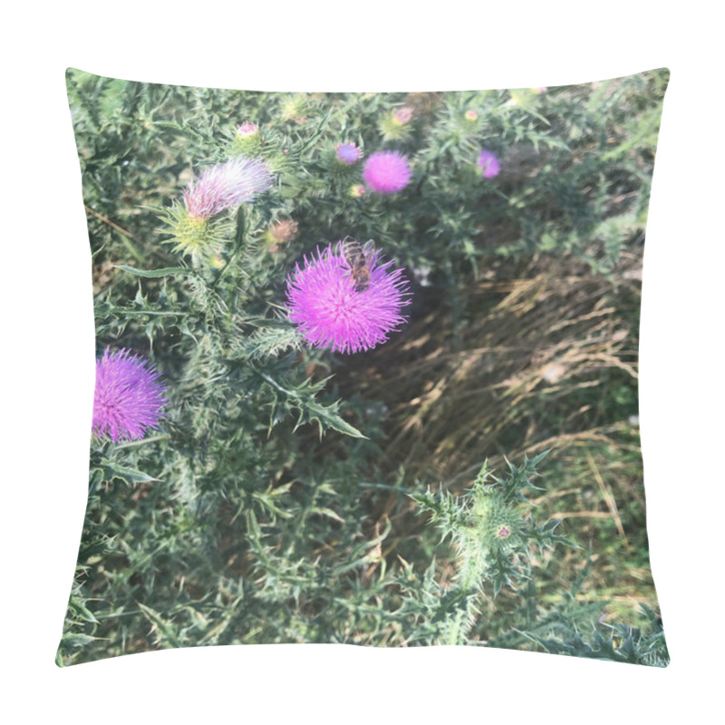 Personality  Bumble Bee On A Purple Blooming Thistle Pillow Covers