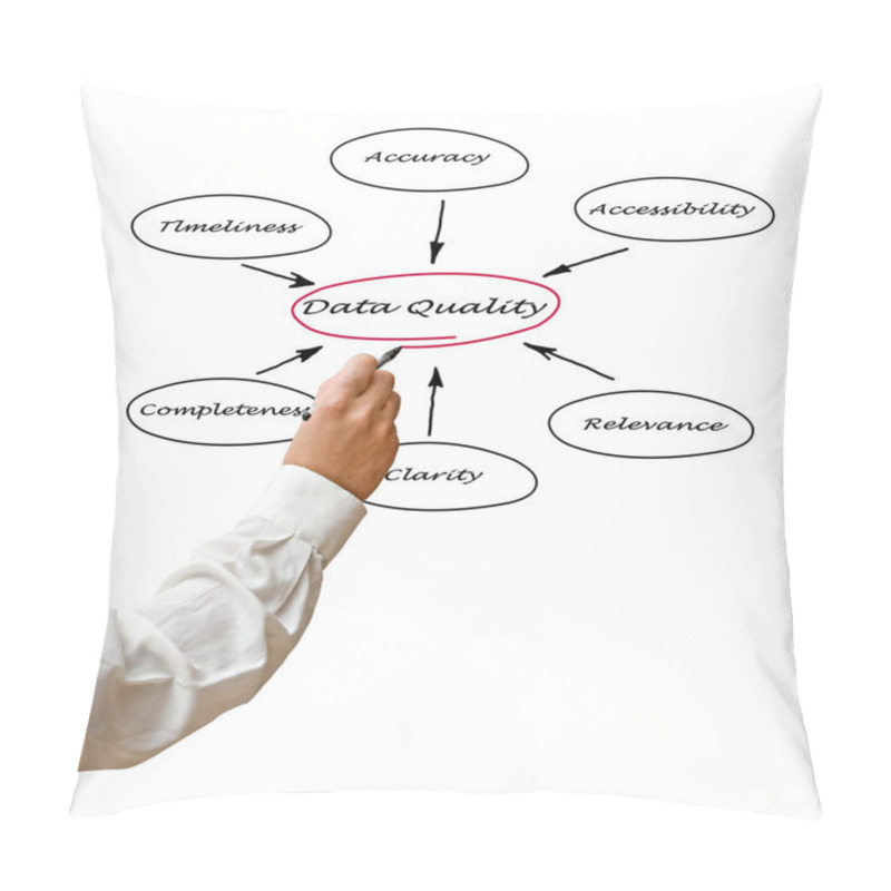 Personality  Diagram Of Data Quality Pillow Covers