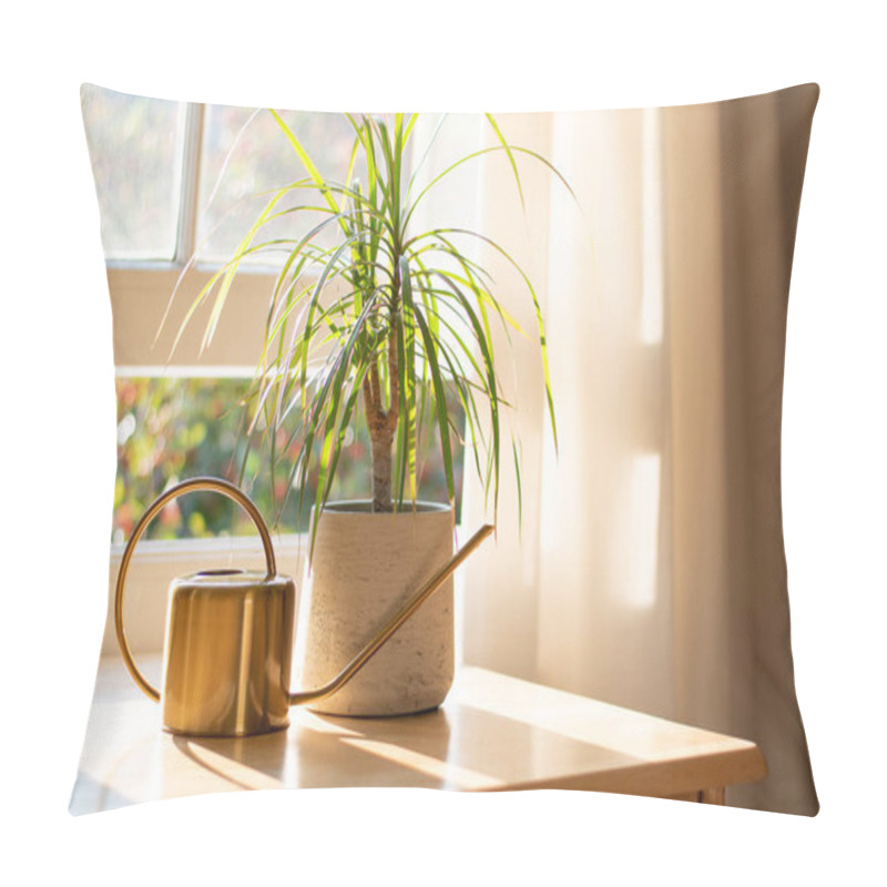 Personality  Houseplant In The Window Inside A Beautiful New Home Or Flat Pillow Covers