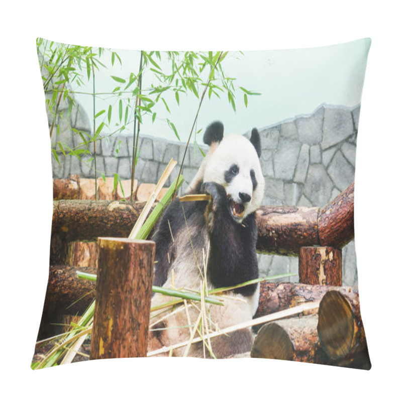 Personality  Funny Big Panda Sitting On The Logs And Eating Bamboo. Panda In The Moscow Zoo, Russia. Pillow Covers