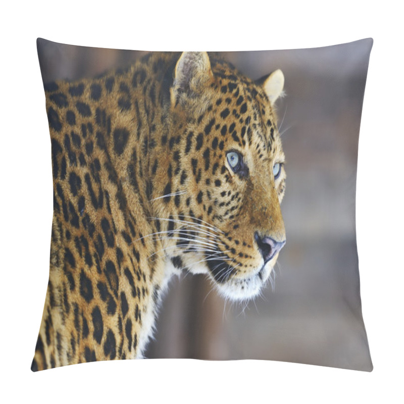 Personality  Leopard Pillow Covers