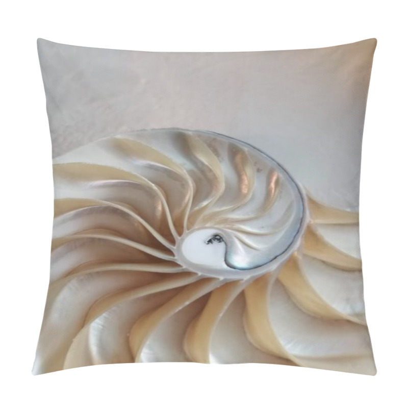 Personality  Shell Nautilus Pearl Fibonacci Sequence Symmetry Cross Section Spiral Shell Structure Golden Ratio Background Nature Pattern Mollusk Shell (nautilus Pompilius) Copy Space Half Split Stock Photo  Pillow Covers