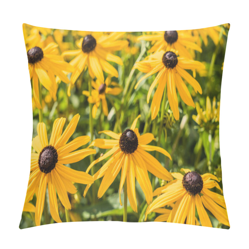 Personality  Bright Yellow Rudbeckia Flowers Pillow Covers