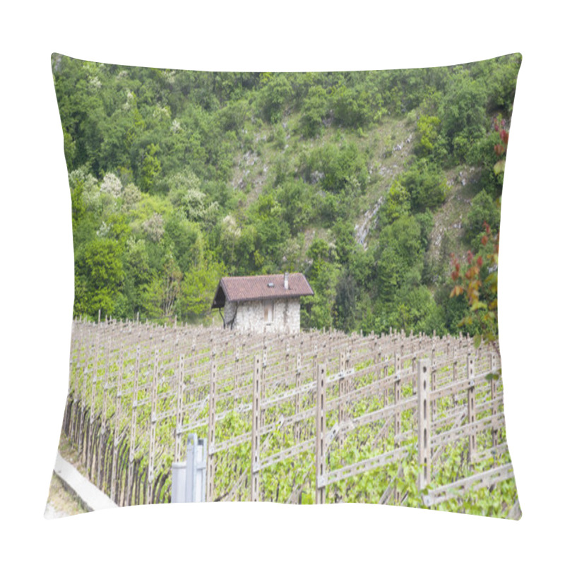 Personality  Italian Landscape With Vineyard Pillow Covers