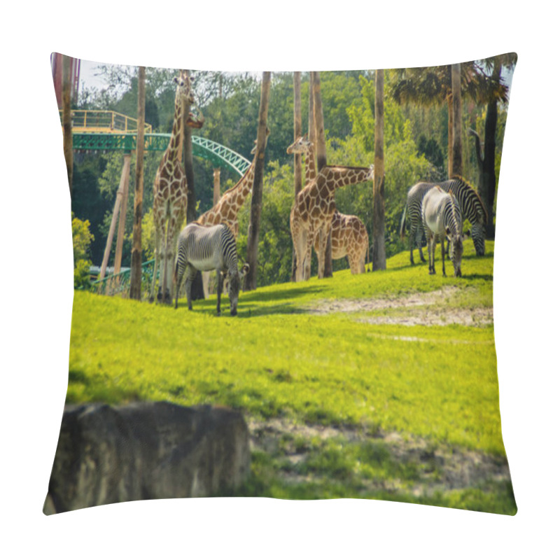 Personality  Views While Walking Around Busch Gardens, Tampa, Florida, United States Pillow Covers