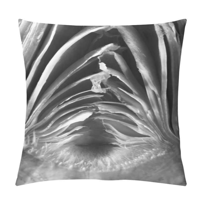 Personality  Halved Artichoke, Black And White Pillow Covers