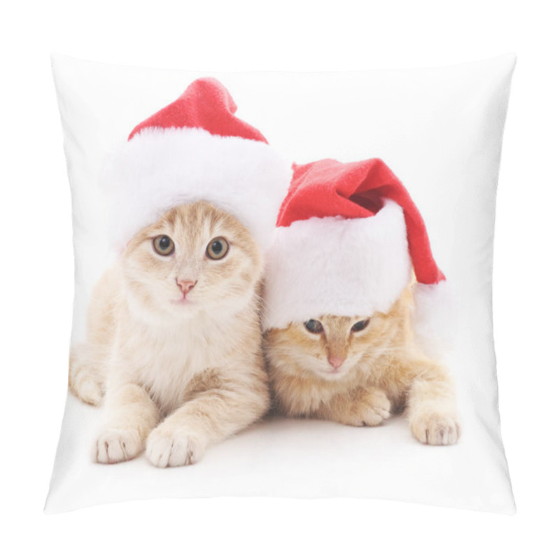 Personality  Kittens In Christmas Hats. Pillow Covers