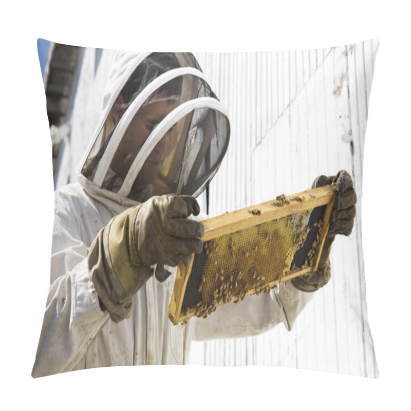 Personality  Beekeeper Looking At Hive Pillow Covers