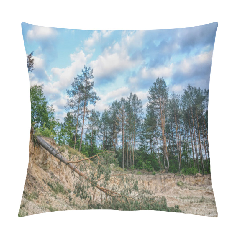 Personality  Sand Quarry On The Edge Of The Forest. Lost Tree, Soil Erosion. Pillow Covers