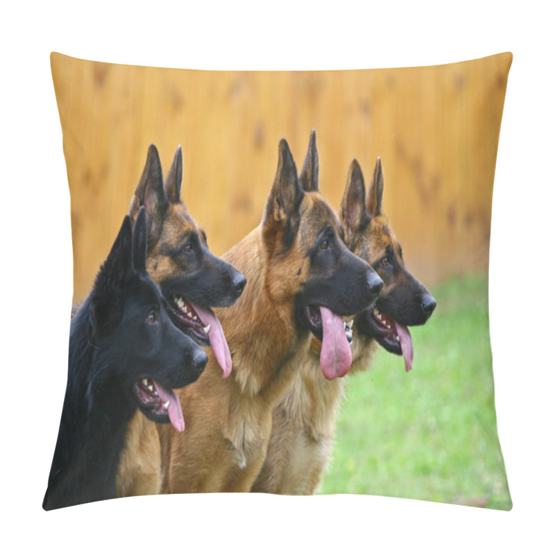 Personality  Four Dogs Pillow Covers