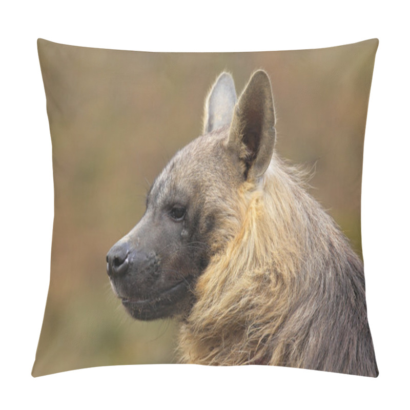 Personality  Portrait Of Brown Hyena Pillow Covers