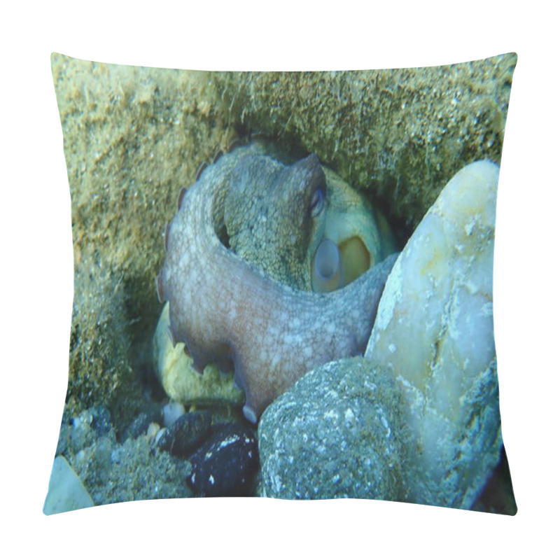 Personality  The Common Octopus (Octopus Vulgaris), Aegean Sea, Greece, Halkidiki Pillow Covers