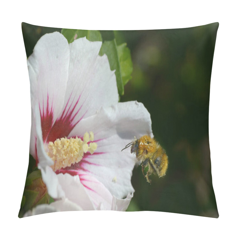 Personality  Hibiscus Flowers Petals, Flora And Nature  Pillow Covers