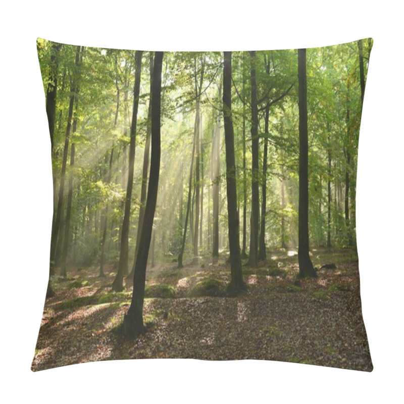 Personality  Forest Pillow Covers