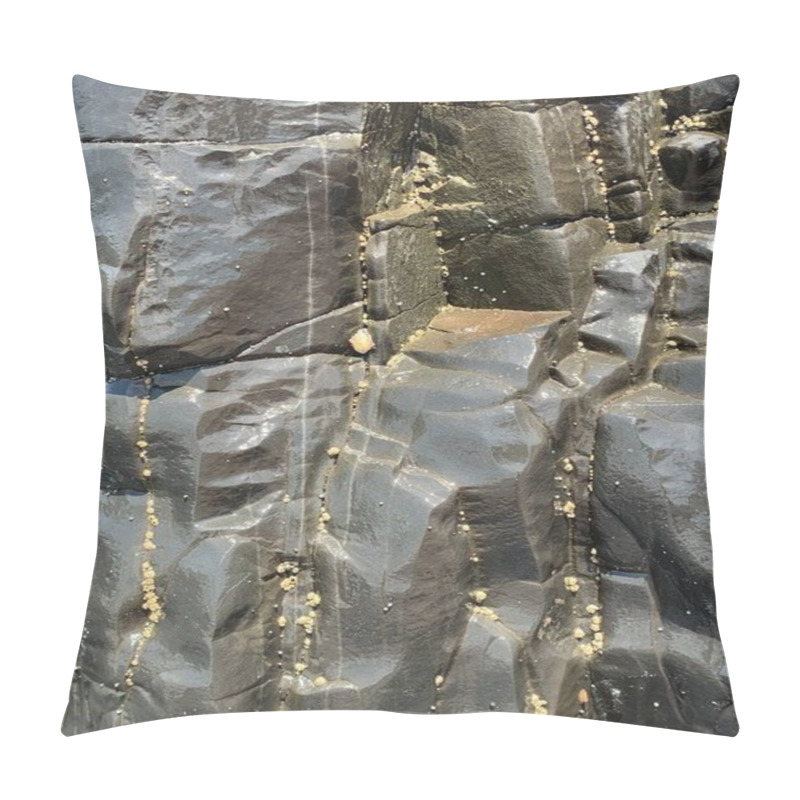 Personality  Rock Background Texture. Coastal Rock Formation. Pillow Covers