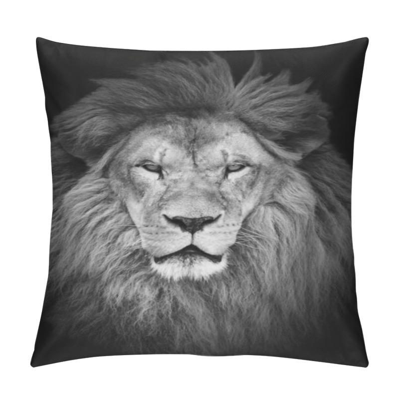 Personality  Portrait Of Huge Beautiful Male African Lion Against Black Backg Pillow Covers