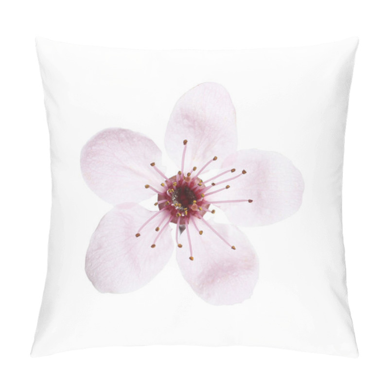 Personality  Beautiful Plum Blossom Isolated On White. Spring Season Pillow Covers