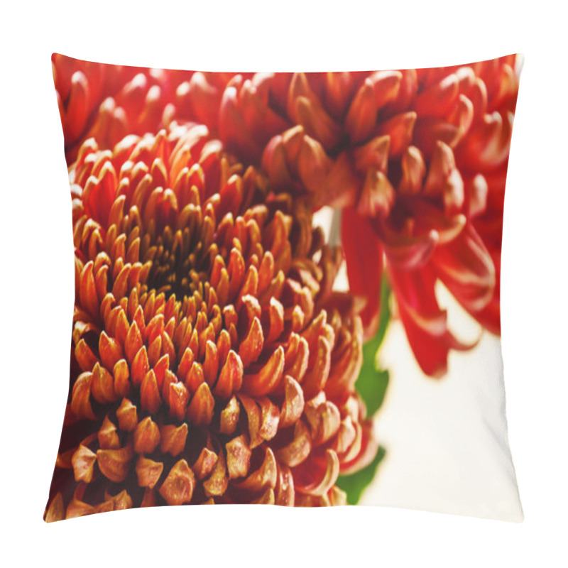 Personality  Large Red Chrysanthemums On The Autumn Nature Blurred Background  Pillow Covers