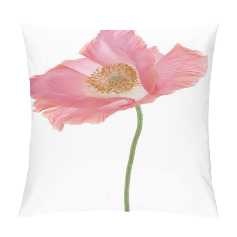 Personality  Poppy Flower Pillow Covers