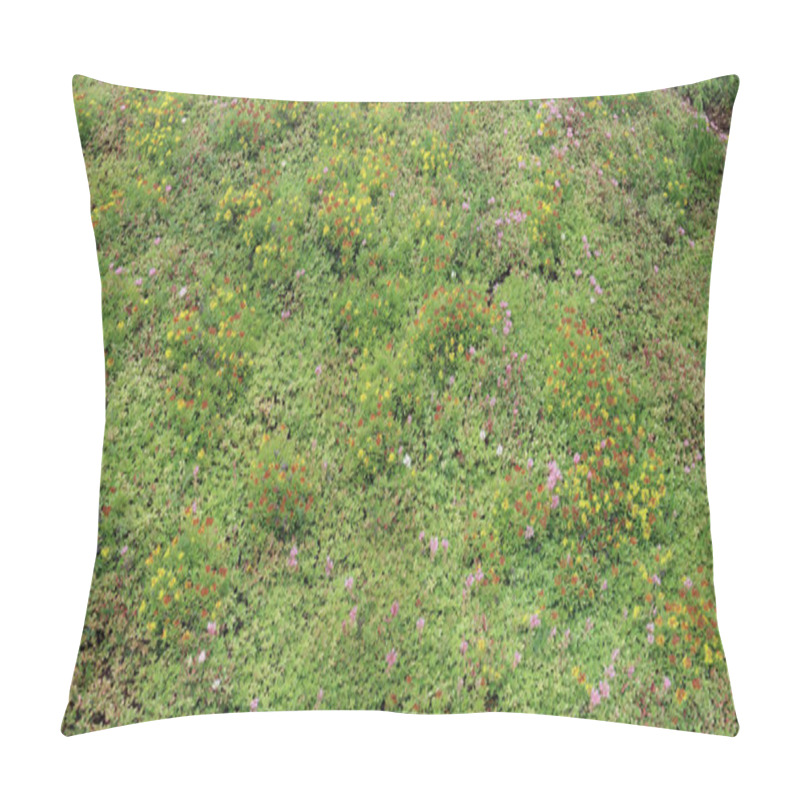 Personality  Panoramic Fragment Of An Urban Tipical Decorative Flower Bed Pillow Covers