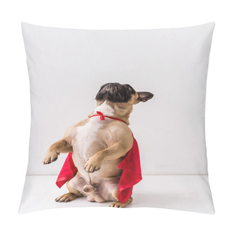 Personality  Dog In Superhero Costume Pillow Covers